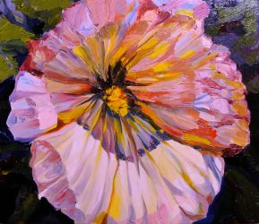 Pink mallow flower in soft light, contemporary floral study by Kateryna Struzhko