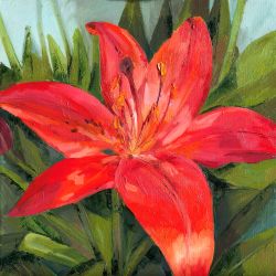 Red lily flower with dramatic contrast, expressive floral painting