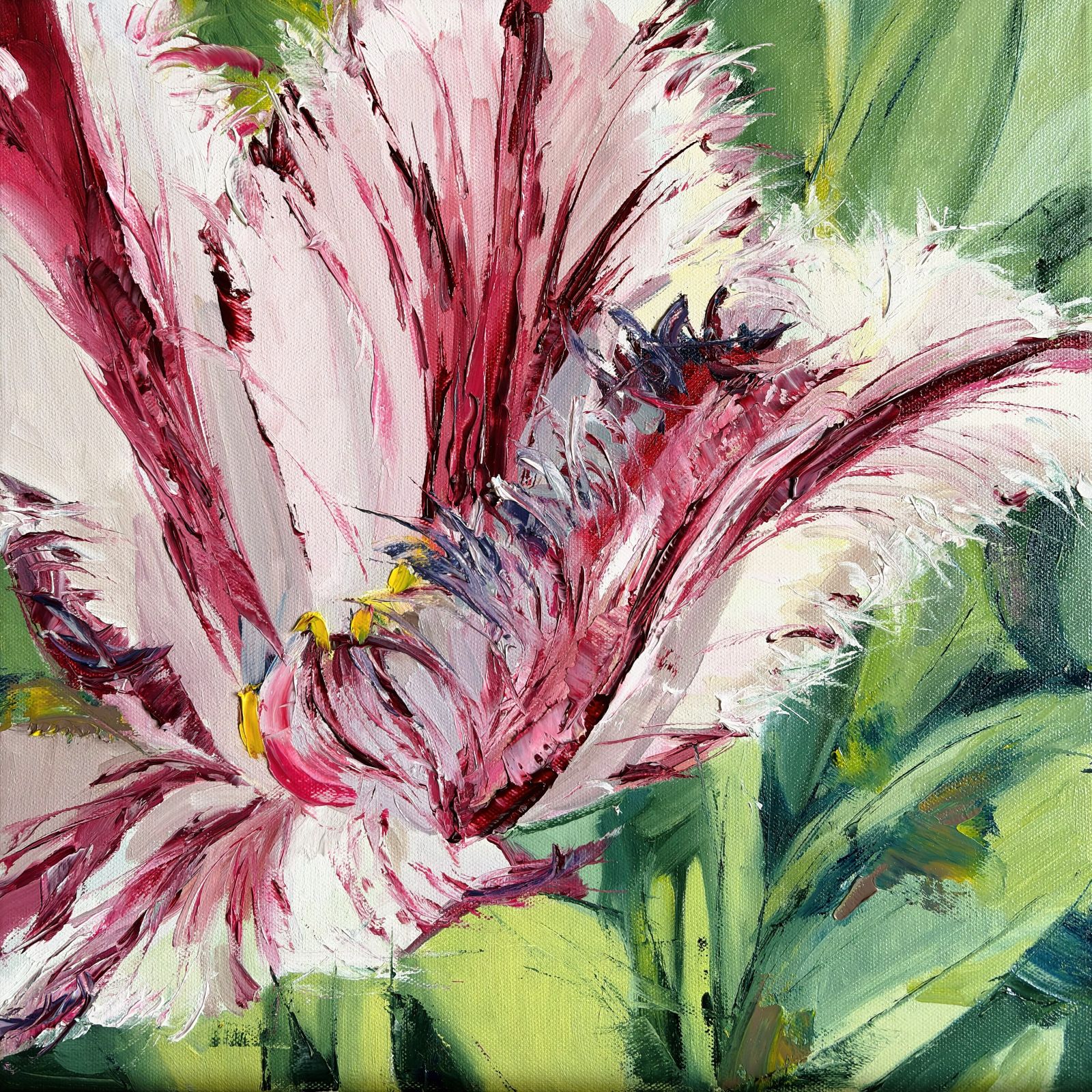 Crimson Vein, oil painting of parrot tulip with white petals and expressive texture, 40x40 cm, contemporary floral art by Kateryna Struzhko