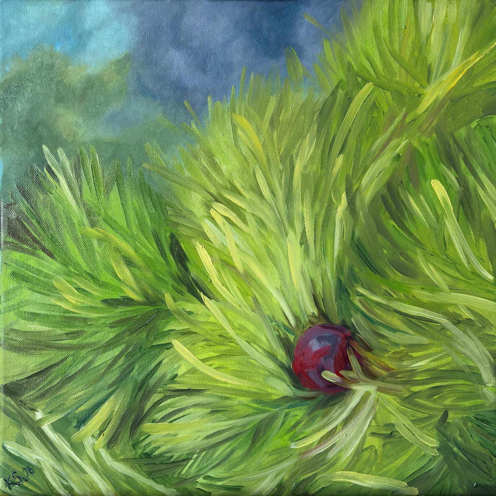 Protected Peony, oil painting of peony bud with fresh green needle leaves, early stage floral study, 40x40 cm, contemporary botanical art by Kateryna Struzhko